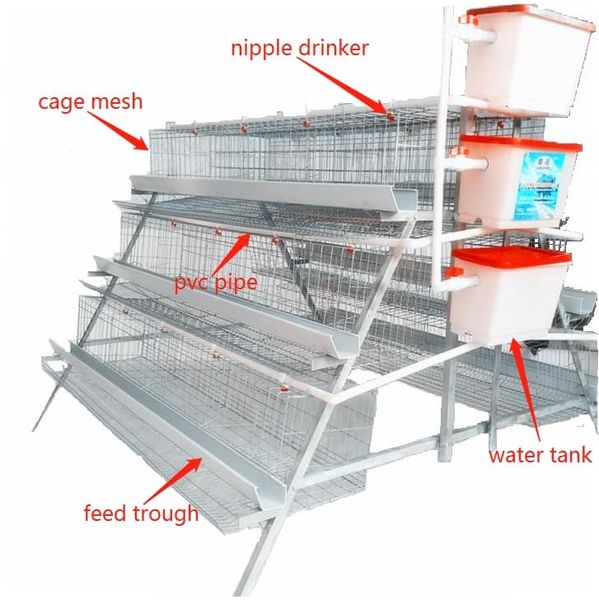 Different Cage for Different Period of the Chicken